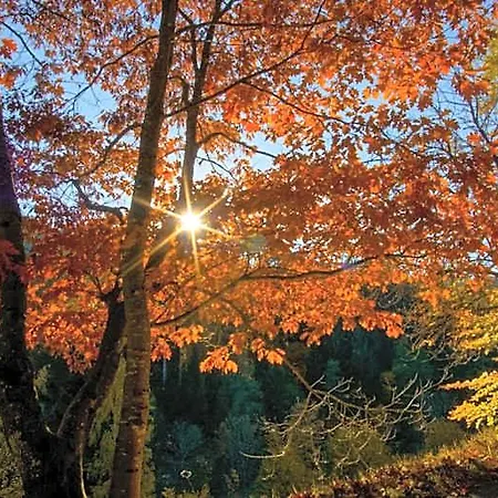 Eickler 3* Baiersbronn